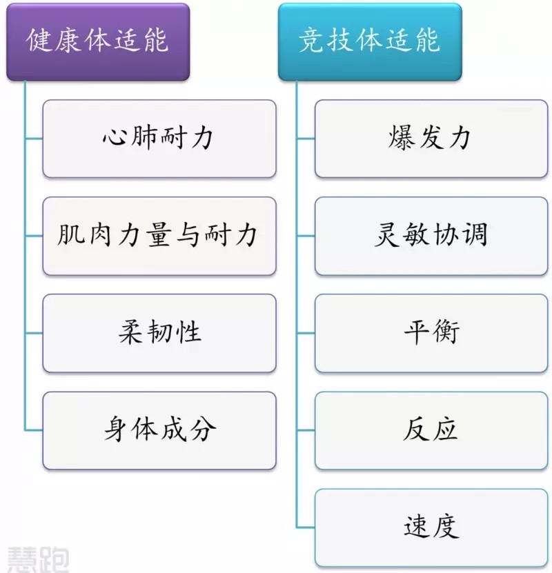 为什么篮球锦标赛是检验训练成果的好机会_0